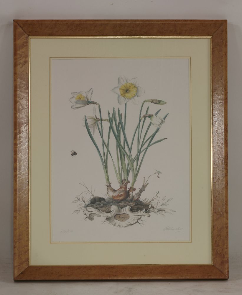 Graham Rust (b.1942)BOTANICAL PRINTSThree, signed in pencil and numbered57 x 41cm (3) - Image 2 of 3