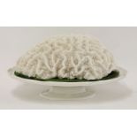 A large piece of brain coral, on a pottery tazza, 38cm long, 15cm high (2)