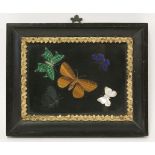 A Grand Tour marble plaque,early 19th century, inlaid with five butterflies, four coloured marble,