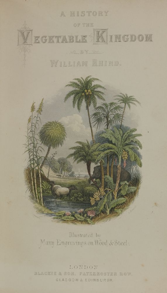 NATURAL HISTORY:1.  Moore, Thomas: The Florist and Pomologist, and Suburban Gardener´1883. L, Kent & - Image 2 of 4