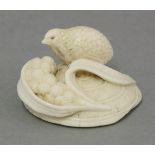 A finely carved ivory Netsuke, late 19th century, of a quail amongst millet and leaves continuing on