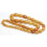 A single row graduated amber bead necklace,with varicoloured honey and dark butterscotch coloured