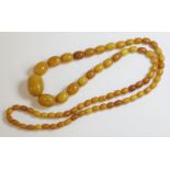 A single row graduated amber bead necklace,with graduated oval butterscotch amber beads,