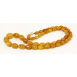 A single row graduated amber bead necklace,with graduated butterscotch oval beads, from 12 x 8.7mm