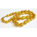 A single row, graduated oval, butterscotch amber bead necklace,14.4 x 11.7mm to 28 x 21.7mm in size,