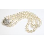 A two row cultured pearl necklace,with a diamond set daisy cluster clasp.  Two rows of uniform