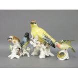 Four porcelain birds, three German, the robin Spode, the Golden Oriole, 19cm high