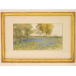Arthur Severn (1842-1931)BLUEBELLSSigned and dated 1911 l.l., watercolour22 x 41cm