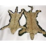 Two stuffed head leopard rugs, one labelled Army & Navy Stores