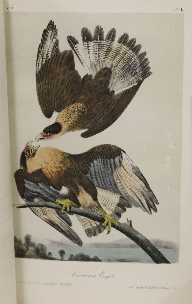 AUDUBON, John James and BACHMAN, John:The Birds of America, from Drawings made in the United - Image 3 of 3