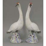 A pair of Manchurian Cranes,mid 19th century, each naturalistically modelled with white feathers