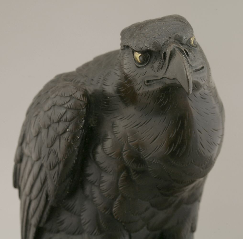A bronze model of an Eagle,late 19th century, naturalistically cast and chased with finely - Image 4 of 4