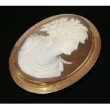 An Edwardian carved shell cameo gold brooch, c.1910,with the profile of Flora in white to a light