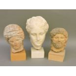 A white plaster head bust of the Roman Goddess Hygeia, together with another similar of a Roman