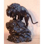 A large late 19th Century Japanese Meiji period patinated Bronze of a fully grown male Lion