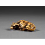 NETSUKE en ivoire de belle patine, représentant un buffle couché, la tête tournée vers la gauche, sa