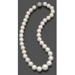 COLLIER DE PERLES DE CULTUREdisposées en chute, fermoir boule en or gris pavé de diamants taille