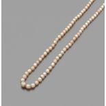 COLLIER PERLE FINEIl est composé de perles fines (non testées) disposées en chute. Fermoir olive