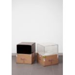 Walead BESHTY (né en 1976) FEDEX ® MEDIUM KRAFT BOXES, PRIORITY OVERNIGHT, LOS ANGELES-NEW YORK