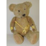 An early 20th Century teddy bear with golden plush, white/black glass eyes, black stitched nose