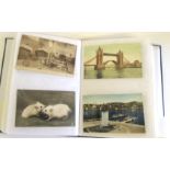 A quantity of assorted postcards including GB photo topo; George Studdy Bonzo; animals; steam loco