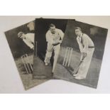 TOPICAL TIMES - Cricketers In Action, extra large (8/8)