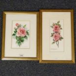 ETHEL MARY WEBSTER PINK ROSES & ''PINK'' SIGNED PAIR FRAMED WATERCOLOURS  25.5 X 11CM & 21 X 13.5CM
