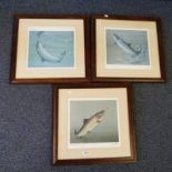 SIGNED LIMITED EDITION FISHING PRINTS 'THE SALMON', 'THE SEA TROUT' AND 'THE BROWN TROUT' SIGNED TIM