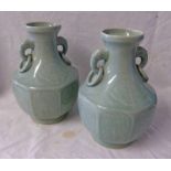 PAIR OF CHINESE PORCELAIN VASES WITH ELEPHANT HANDLES AND FLORAL DECORATION 25CM TALL