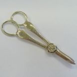 PAIR OF VICTORIAN SILVER GRAPE SCISSORS WITH ENGRAVED DECORATION, SHEFFIELD 1900