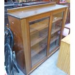 LATE 19TH CENTURY MAHOGANY BOOKCASE WITH 2 GLAZED DOORS AND PLINTH BASE