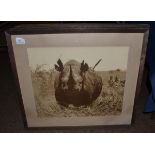 Four large sepia big game photographs, each signed by Arthur Radclyffe Dugmore, including a portrait