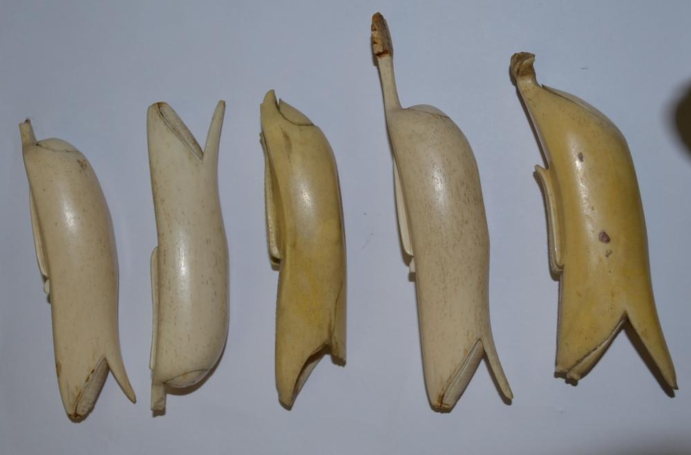 Five 19th century Japanese bone fruits - Image 3 of 7