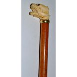 A Victorian ivory malacca cane with dog head and gold band