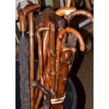 Two bundles of walking sticks including holly and hardwood examples