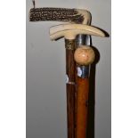 Cane with boar tusk handle; another with ball knop and another with antler top (3)