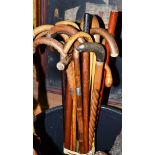 A bundle of assorted walking sticks, some with silver collars and carved handles