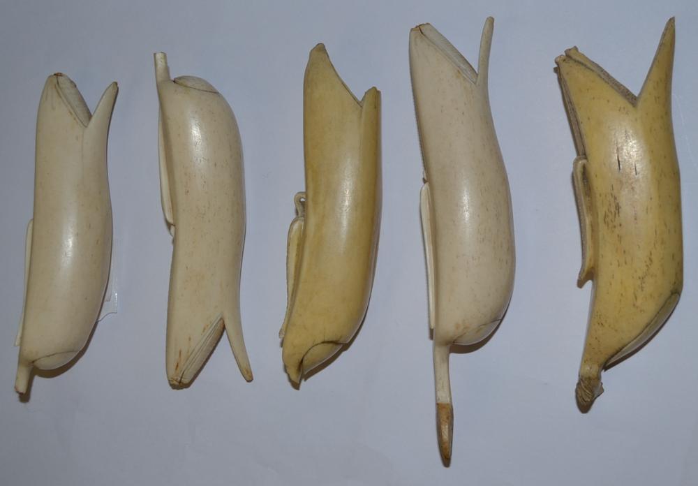 Five 19th century Japanese bone fruits - Image 2 of 7