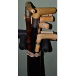 Seven assorted walking sticks with horn and antler handles, some with silver ferrules