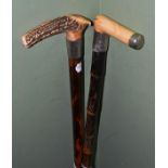 An antler topped Leopard wood cane and another with ivory handle