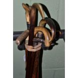 Seven assorted horn and antler walking sticks