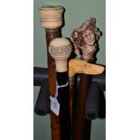 Walking stick with carved handle in the form of a dogs head, a Victorian example with a handle