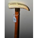 John Bull cane with whale tooth handle