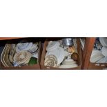 Four boxes of Victorian and later tea and dinner wares