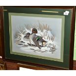 Andy Graystone, study of mallard ducks in snow, gouache, signed and dated (19)89