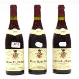 Domaine Castagnier Chambolle-Musigny 1985 (x2); Domaine Castagnier Morey-Saint-Denis 1985 (three