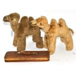 Two Camel soft toys with exaggerated humps, button eyes and stitched noses, 27cm high by 27cm