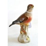 A Meissen figure of a bird, 13cm high