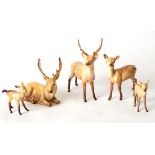 Beswick Stag (Standing), model No. 981, Stag (Lying), model No. 954, Doe, model No. 999A and two