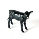 Beswick Aberdeen Angus Calf, model no 1249F, black gloss